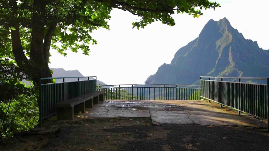 Belvedere Lookout Point showing Mount Rotui