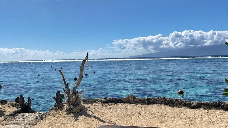 view from Le Jardin De Corail Du Motu Ahi showing people snorkeling