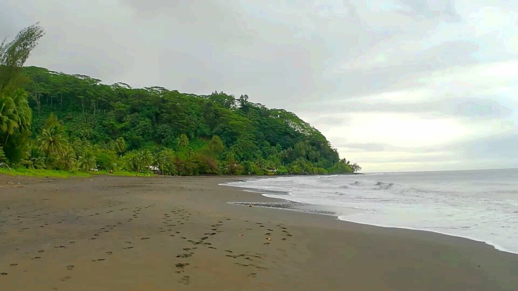 Greenery and overcast weather at Tiarie Beach in Tahiti