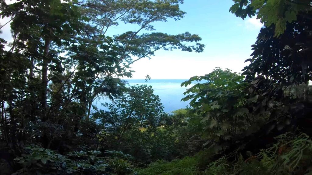 Overlooking the ocean from the Vaipahi hikes