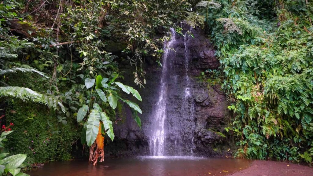 Vaipahi Falls