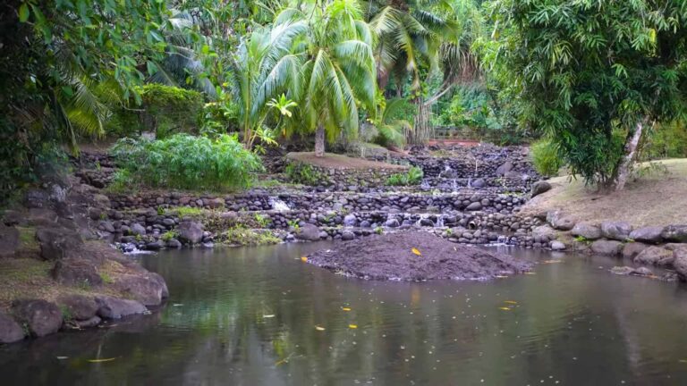 Water flowing over a series of rock formations into a pond at Vaipahi Gardens