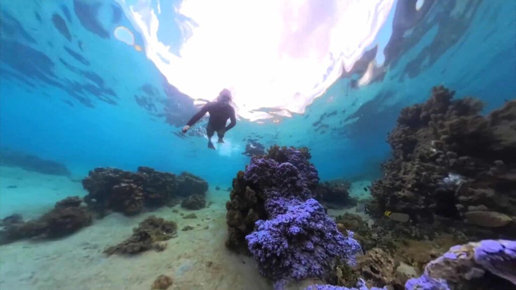 A snorkeler exploring Tahiti waters