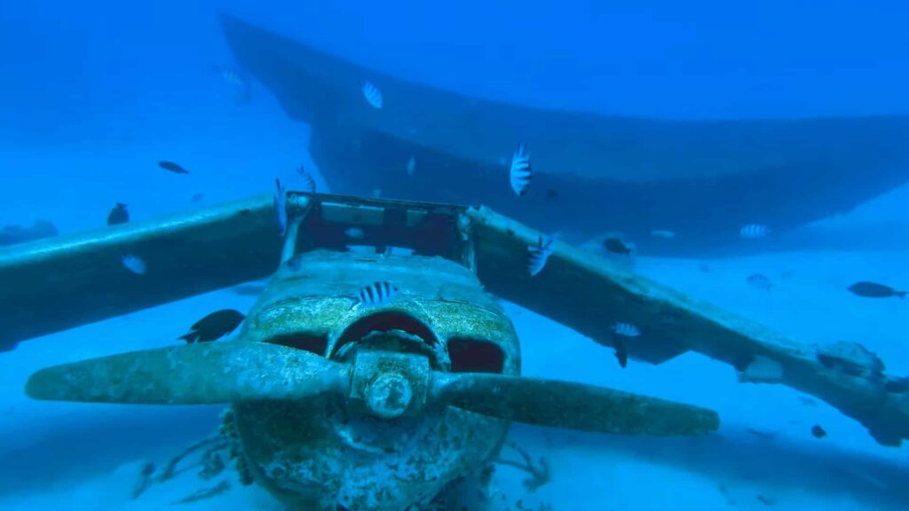 Airplane wreck at Aquarium Tahiti