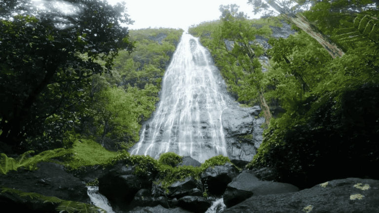 Putoa waterfall in Afareaitu valley