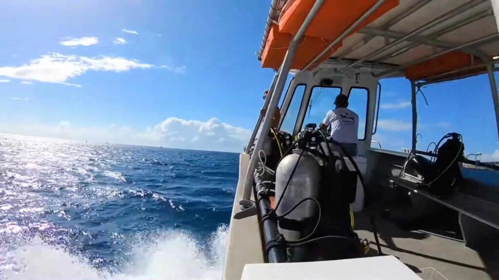 On our way for a dive in Tahiti on boat